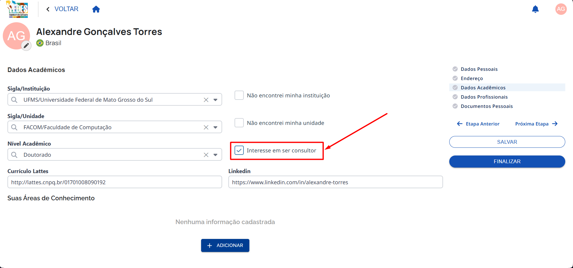 Campo Interesse em ser consultor